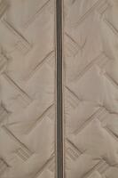 Lebek 1098-5505