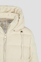 Lebek 1063-5504
