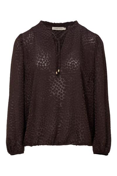 Dream Star W26 115 Femke
