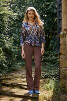 Dream Star W26 134 Ploom