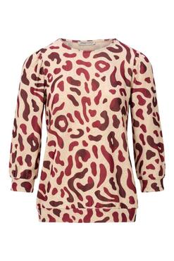 Dream Star W26 133 Tonia
